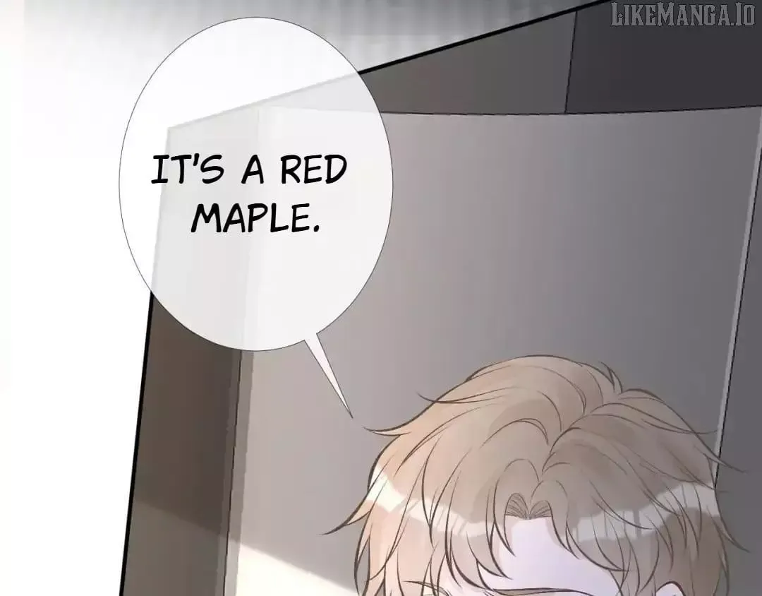 Everyone’s Darling - Chapter 174 Page 34