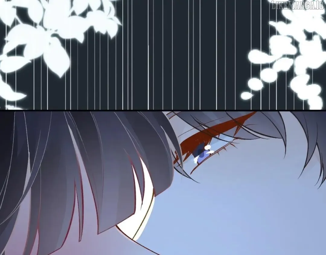 Everyone’s Darling - Chapter 201 Page 4