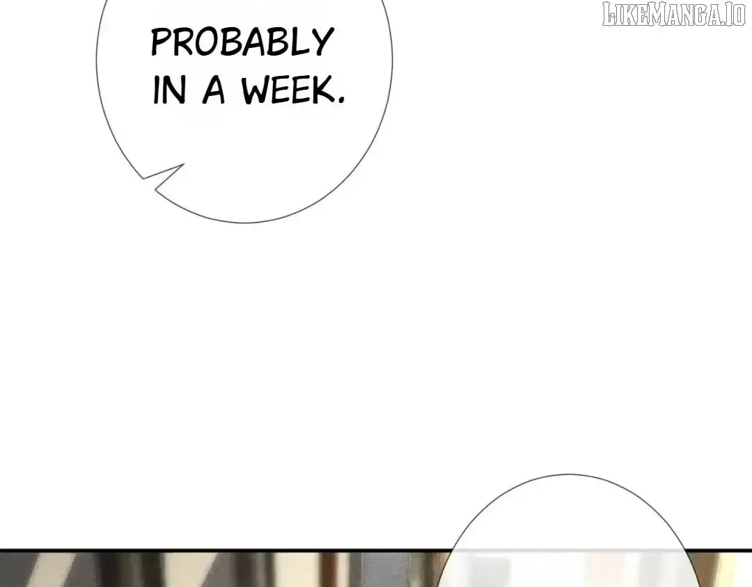 Everyone’s Darling - Chapter 212 Page 18