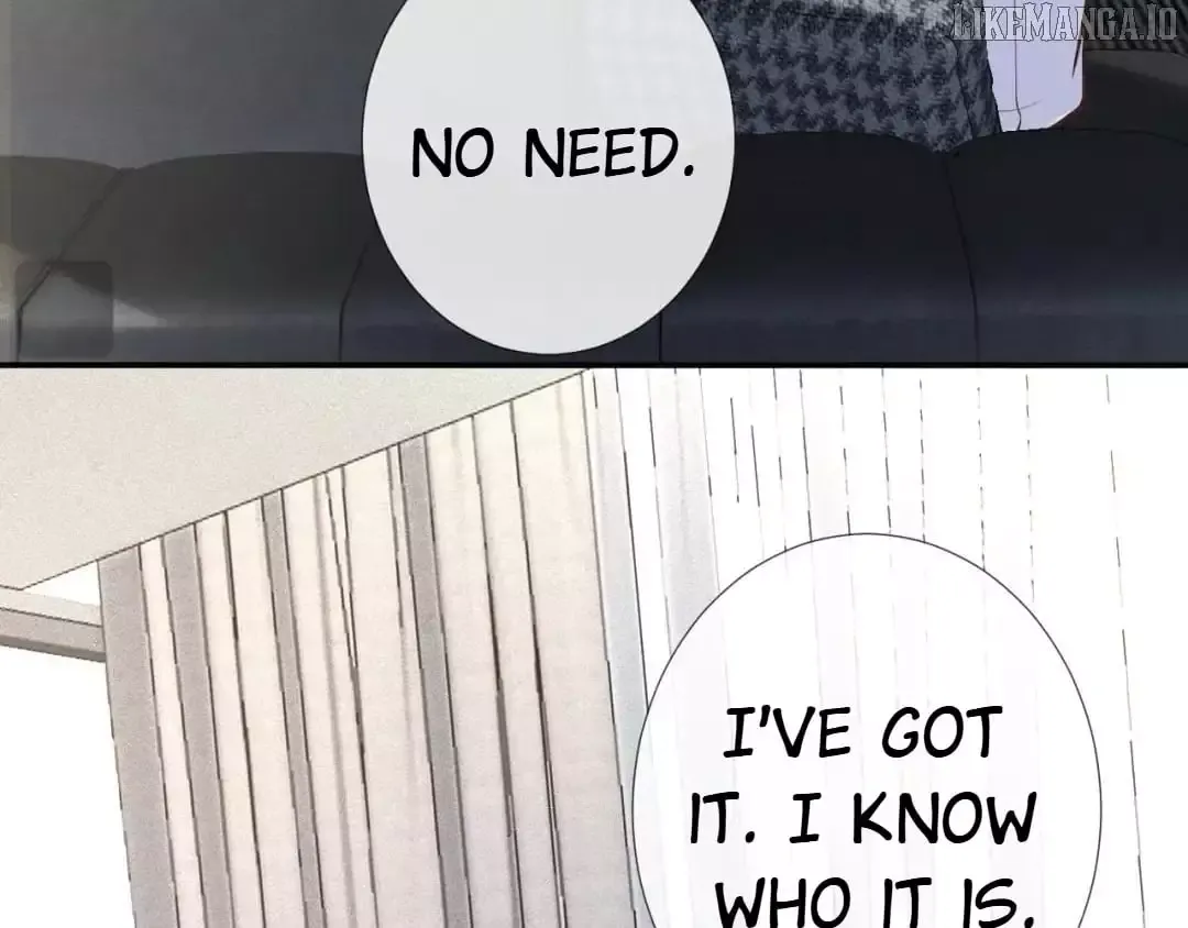 Everyone’s Darling - Chapter 218 Page 11