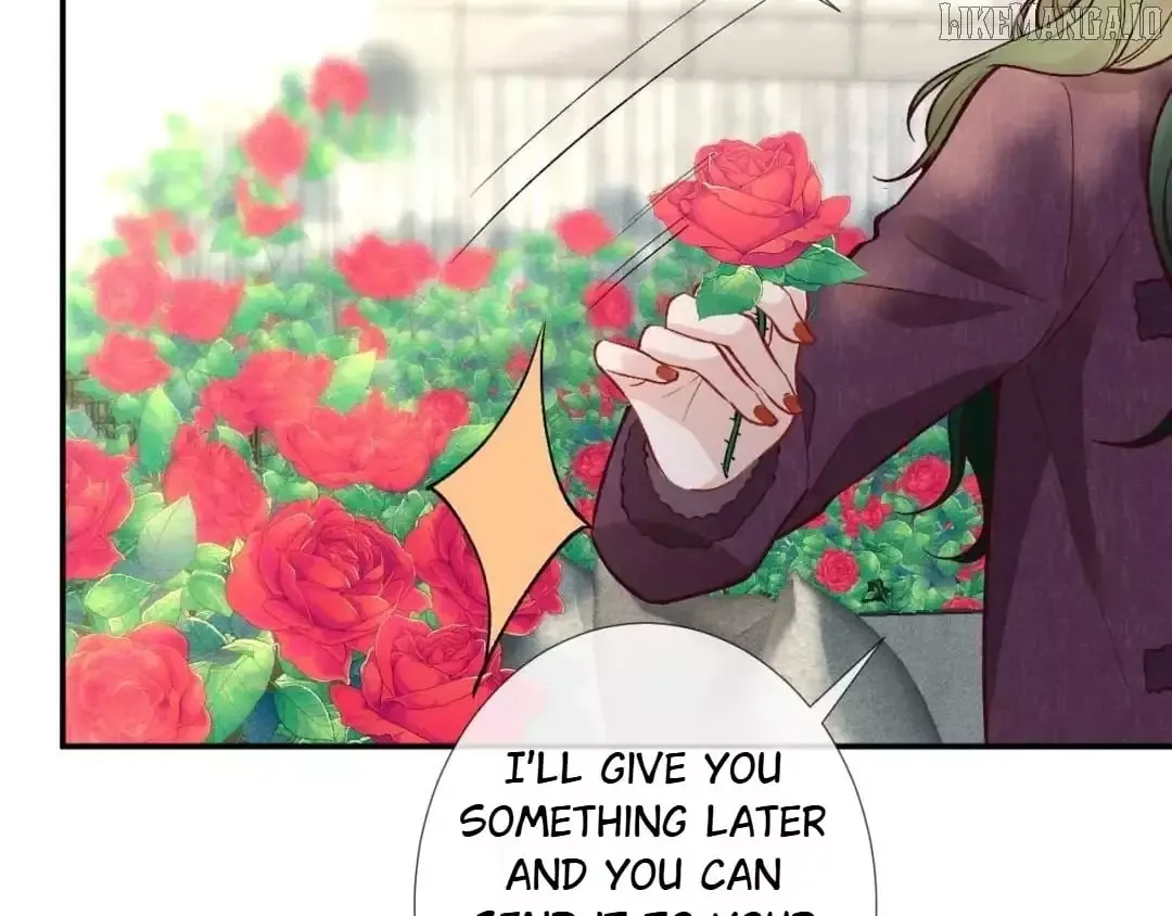 Everyone’s Darling - Chapter 224 Page 34