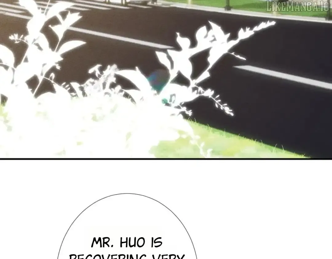 Everyone’s Darling - Chapter 241 Page 33