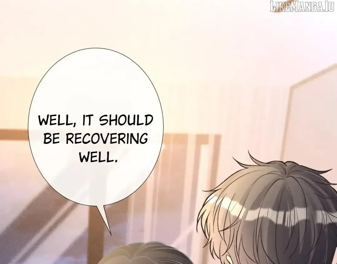 Everyone’s Darling - Chapter 242 Page 43