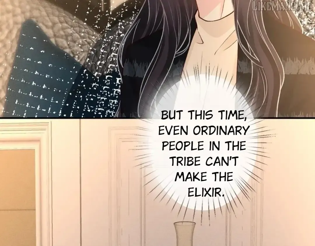 Everyone’s Darling - Chapter 244 Page 11