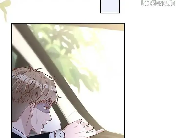 Everyone’s Darling - Chapter 246 Page 3