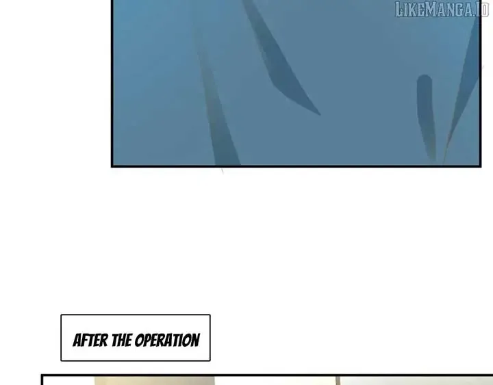 Everyone’s Darling - Chapter 246 Page 17