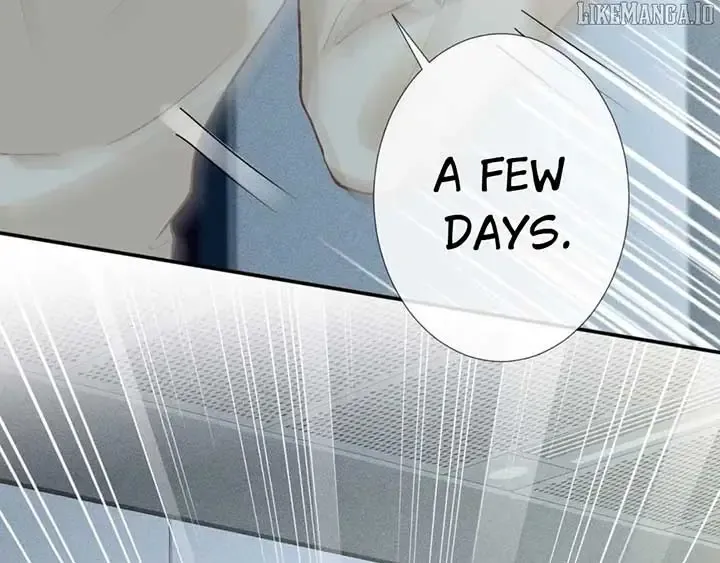 Everyone’s Darling - Chapter 246 Page 74