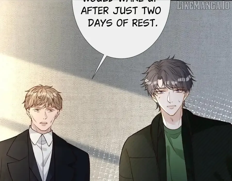 Everyone’s Darling - Chapter 247 Page 7
