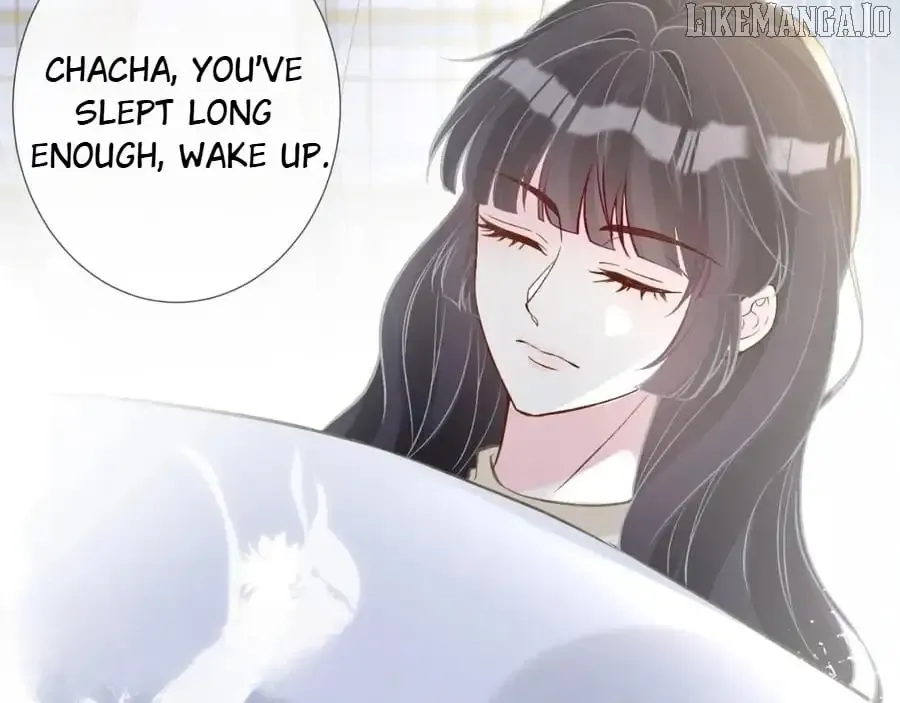 Everyone’s Darling - Chapter 247 Page 39