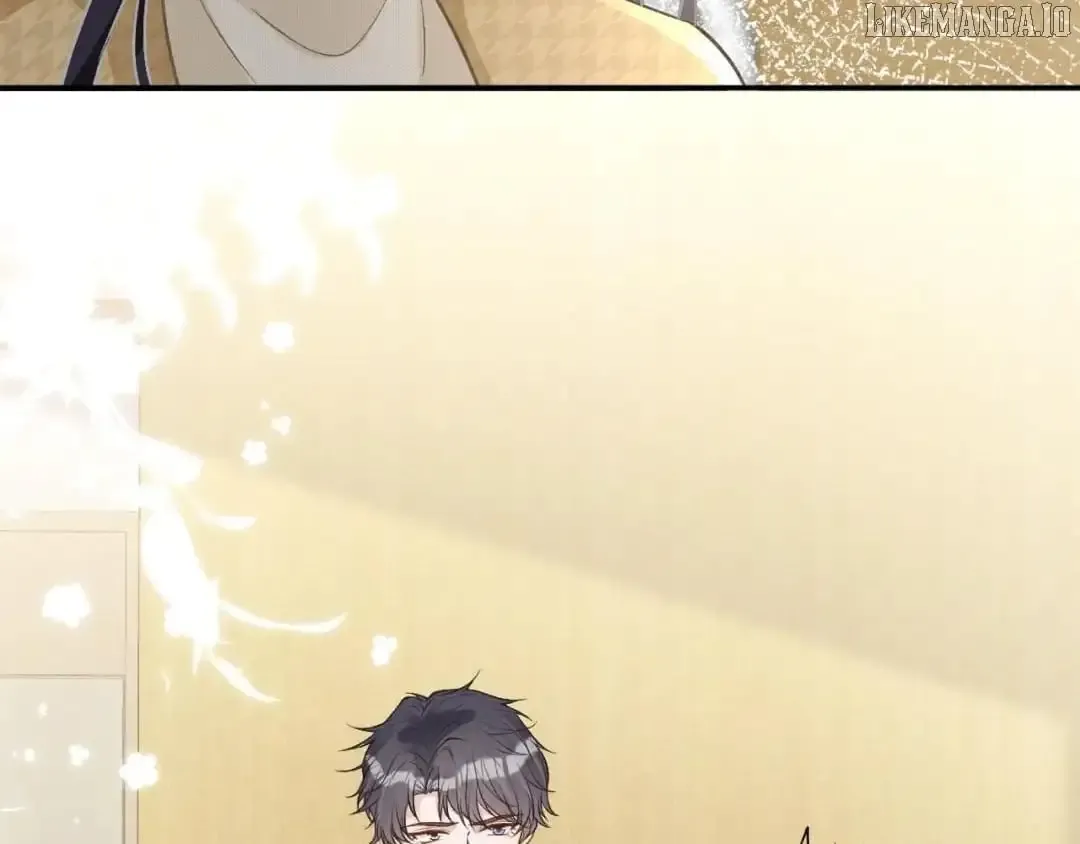 Everyone’s Darling - Chapter 249 Page 7