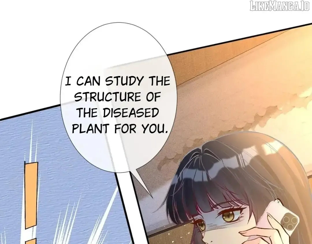 Everyone’s Darling - Chapter 249 Page 41