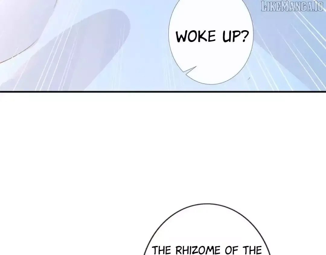 Everyone’s Darling - Chapter 250 Page 33