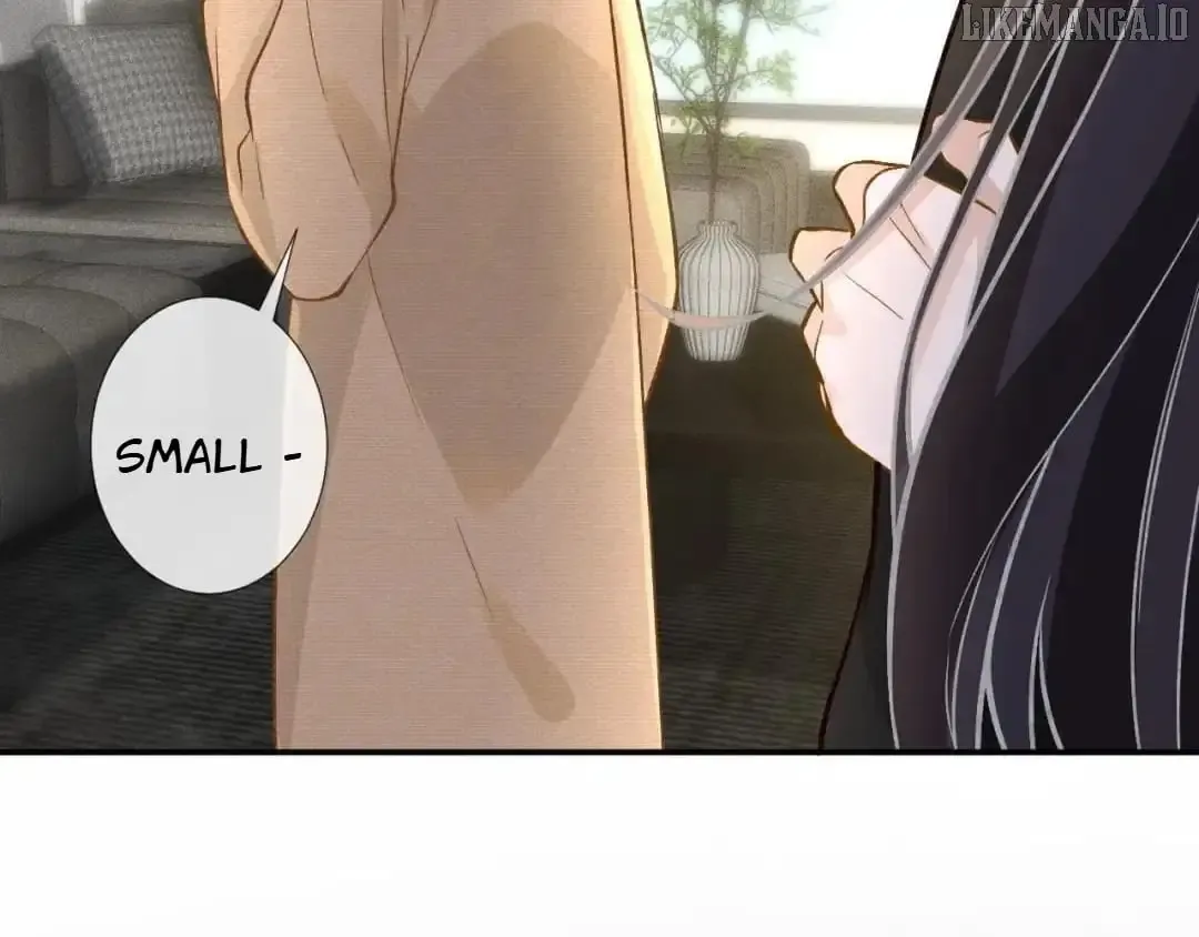 Everyone’s Darling - Chapter 251 Page 17