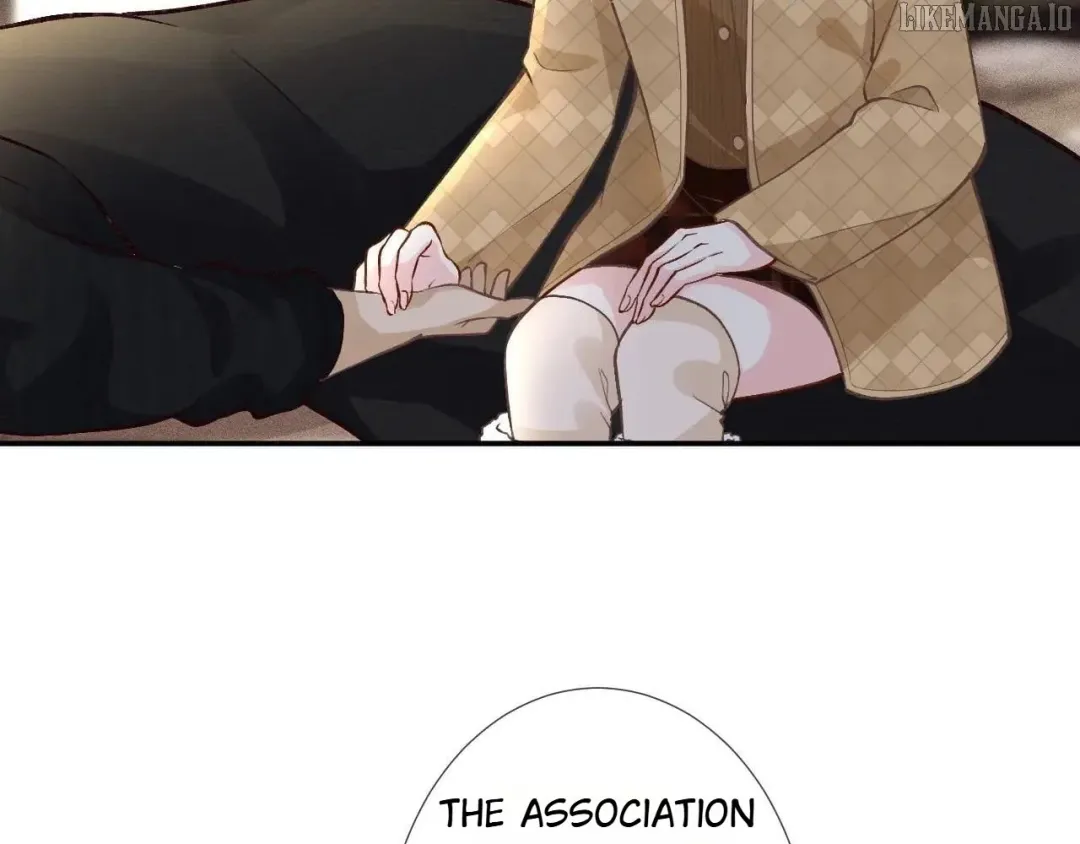 Everyone’s Darling - Chapter 255 Page 12