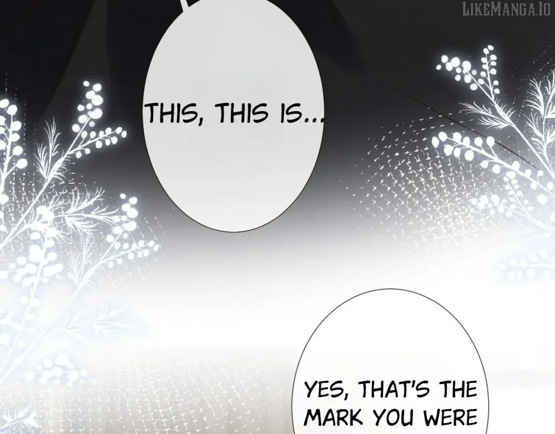 Everyone’s Darling - Chapter 256 Page 78