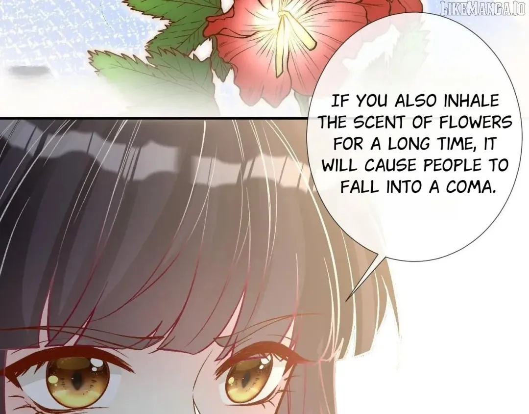 Everyone’s Darling - Chapter 259 Page 25