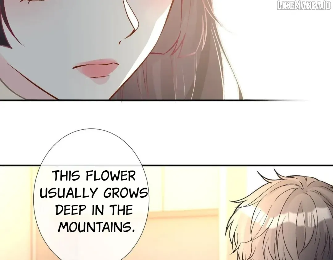 Everyone’s Darling - Chapter 259 Page 26