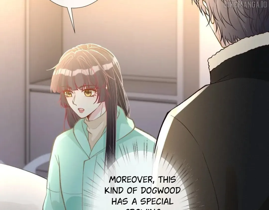 Everyone’s Darling - Chapter 259 Page 27