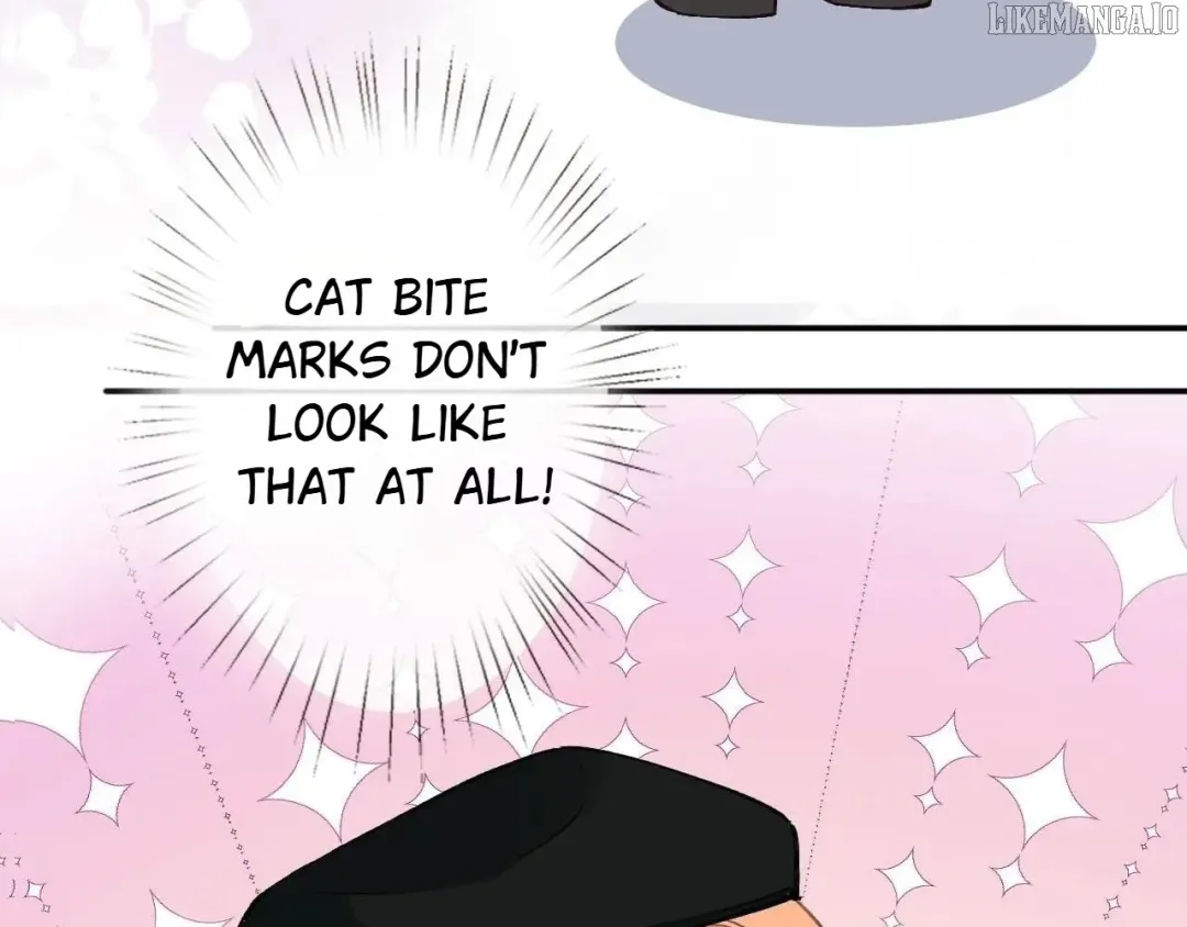 Everyone’s Darling - Chapter 261 Page 54