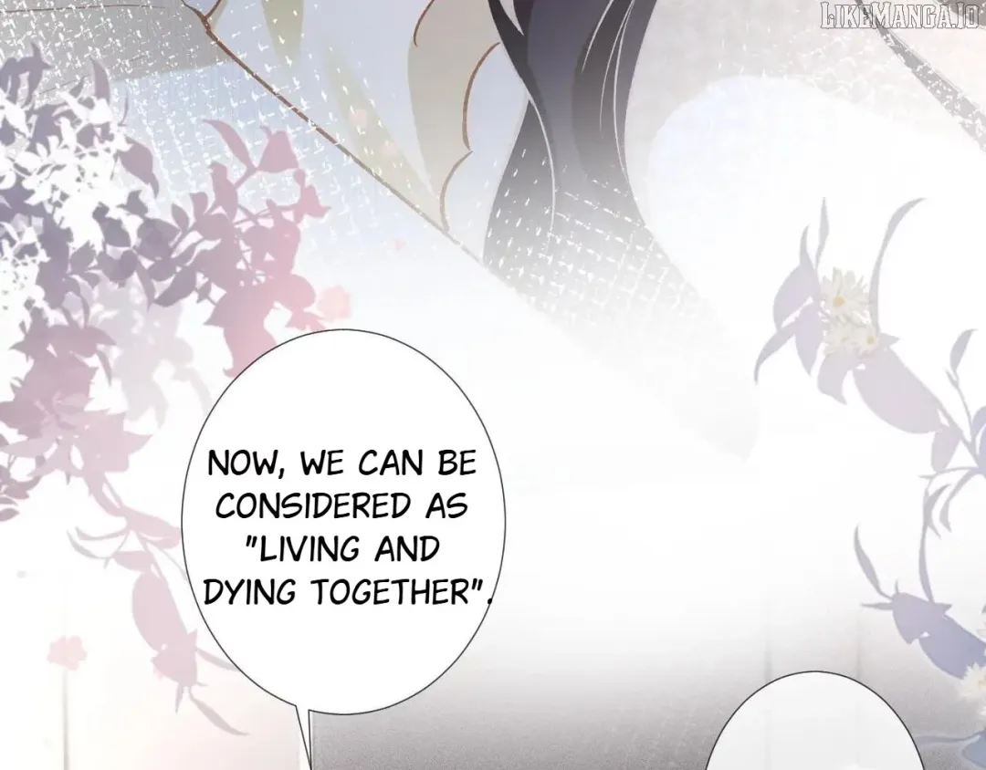 Everyone’s Darling - Chapter 264 Page 38
