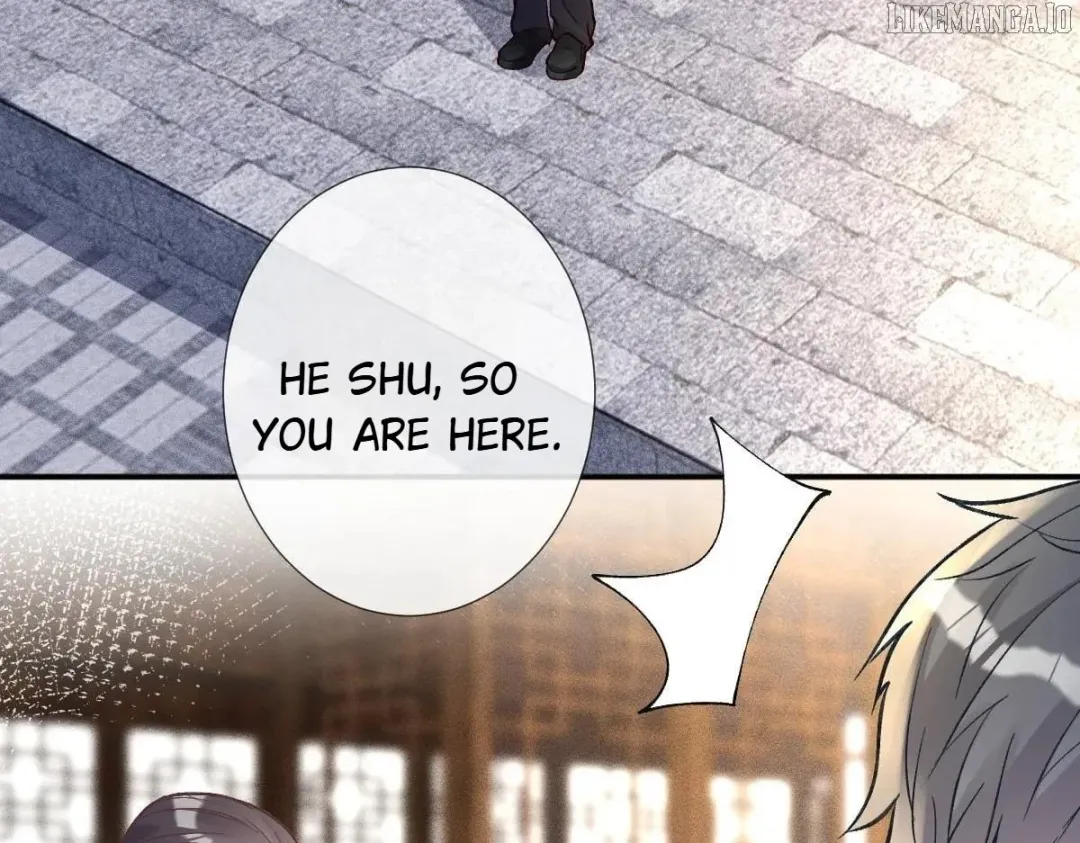 Everyone’s Darling - Chapter 266 Page 3