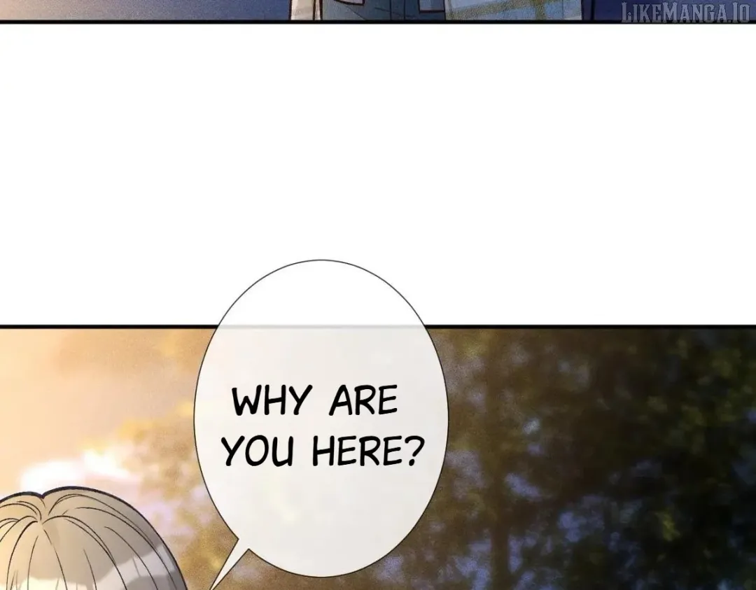 Everyone’s Darling - Chapter 269 Page 42