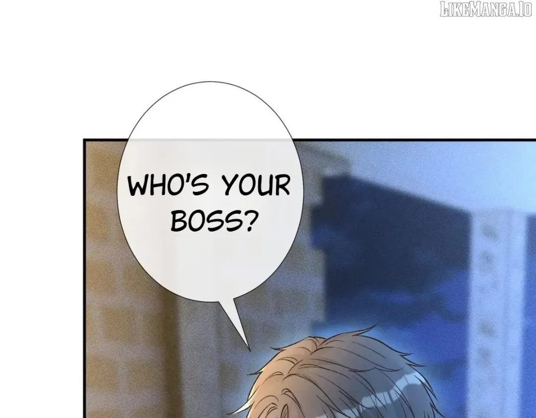 Everyone’s Darling - Chapter 271 Page 5