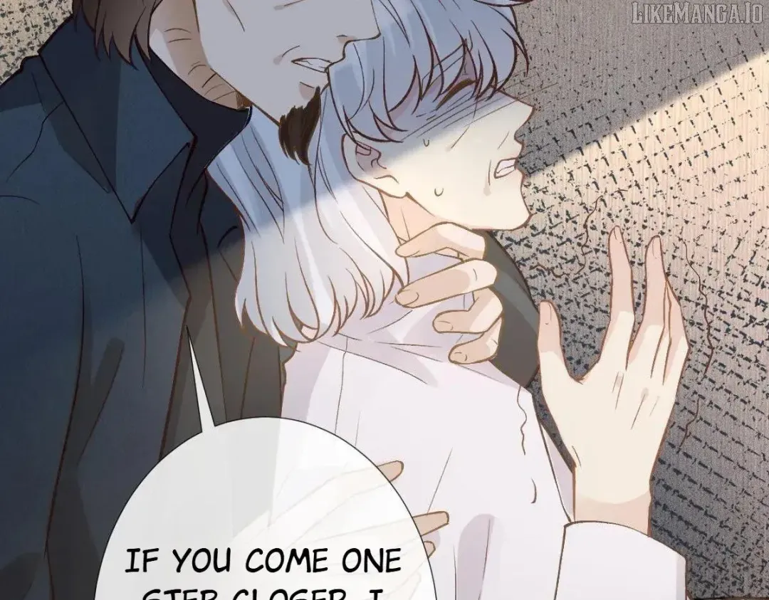 Everyone’s Darling - Chapter 276 Page 17