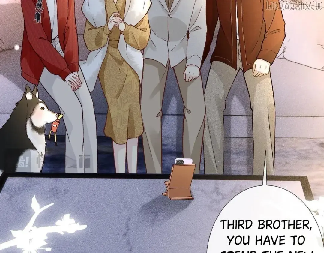 Everyone’s Darling - Chapter 281 Page 19