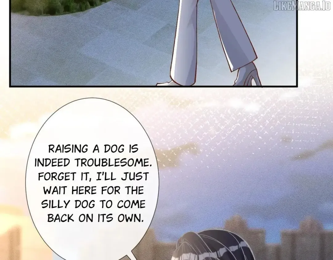Everyone’s Darling - Chapter 281 Page 57