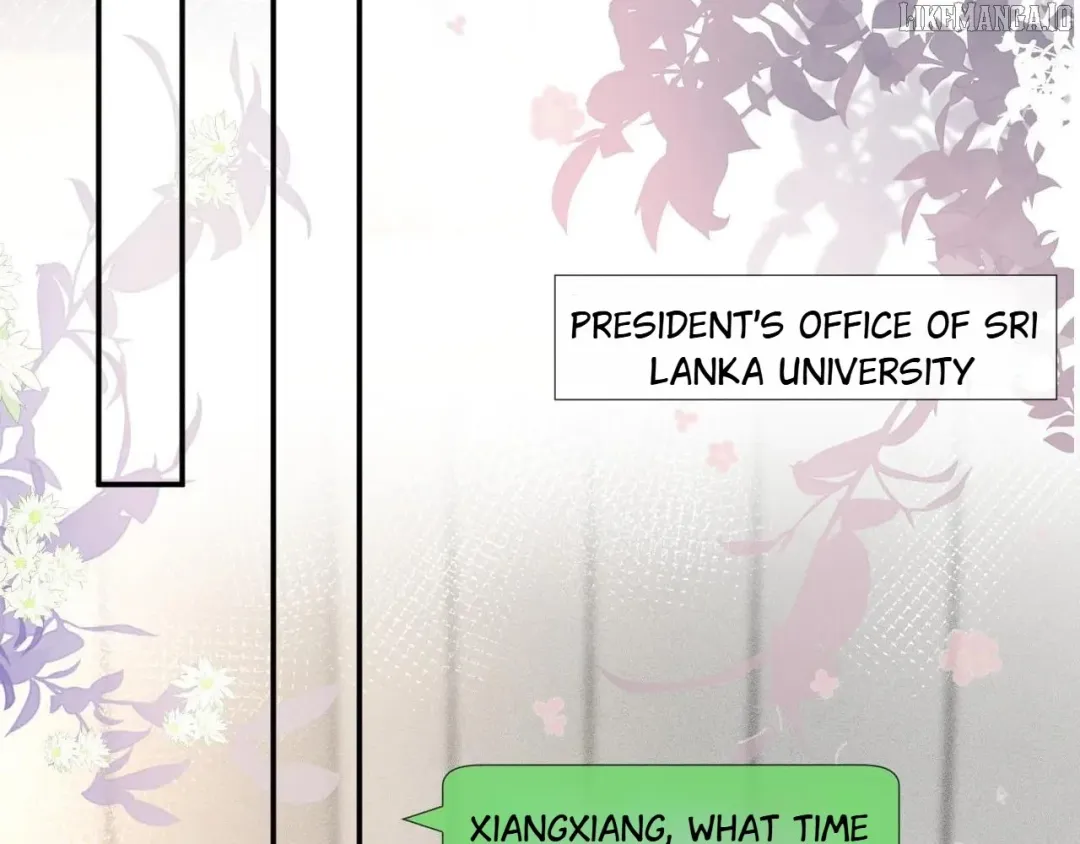 Everyone’s Darling - Chapter 305 Page 52