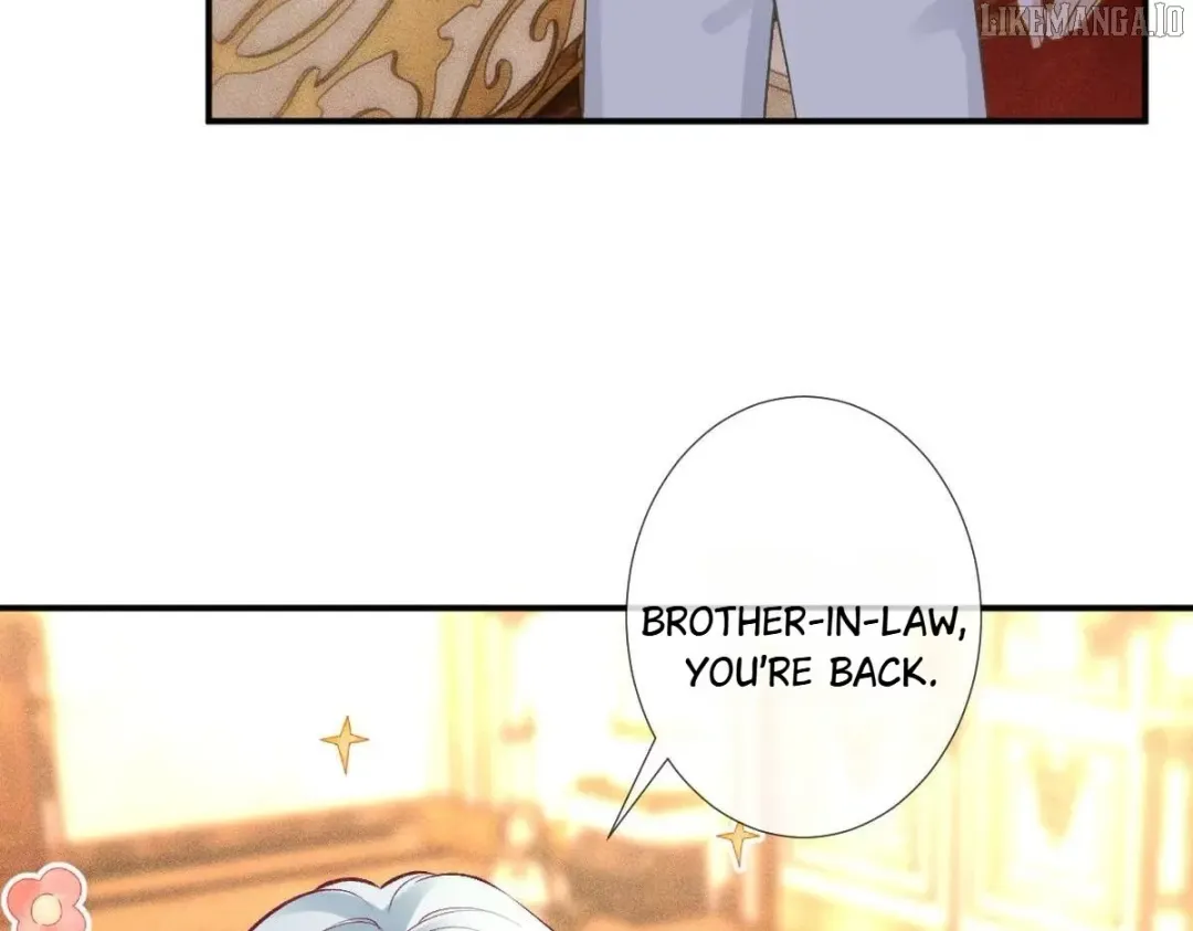 Everyone’s Darling - Chapter 317 Page 41