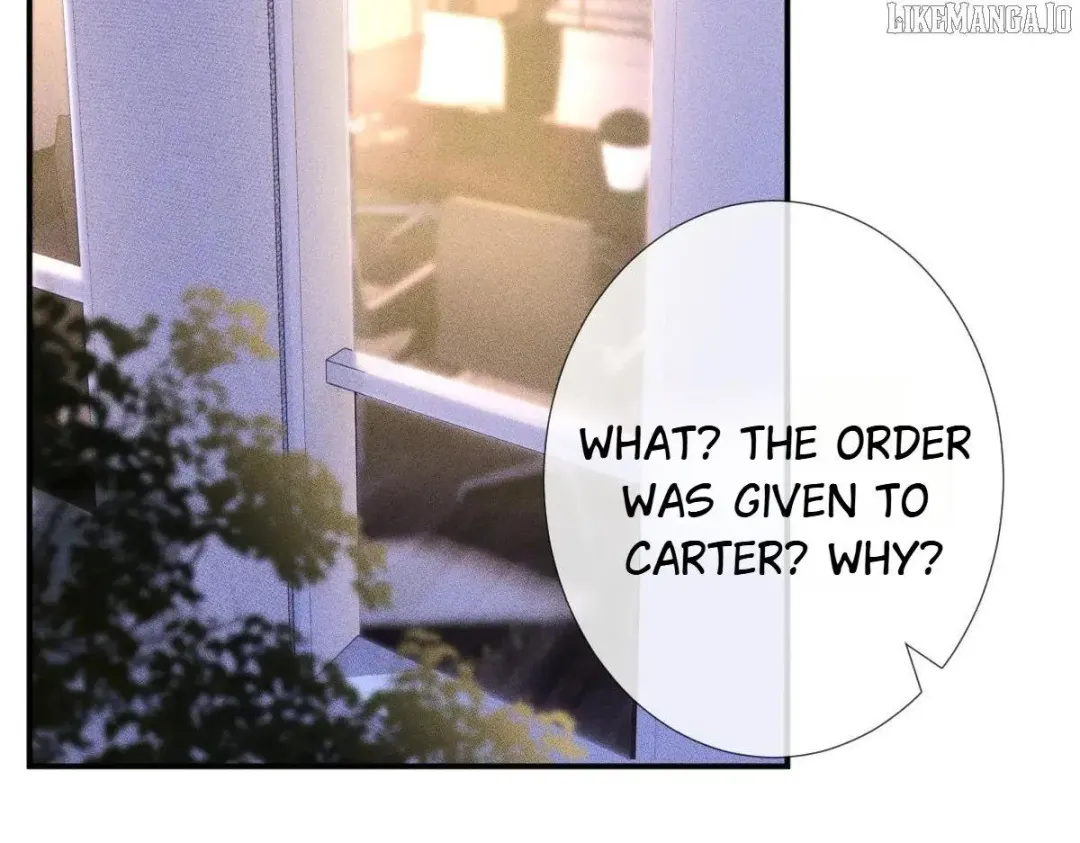 Everyone’s Darling - Chapter 319 Page 2