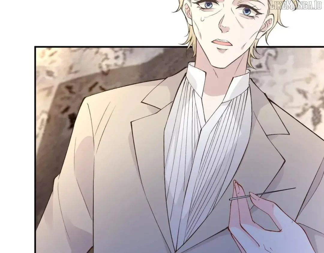 Everyone’s Darling - Chapter 333 Page 4