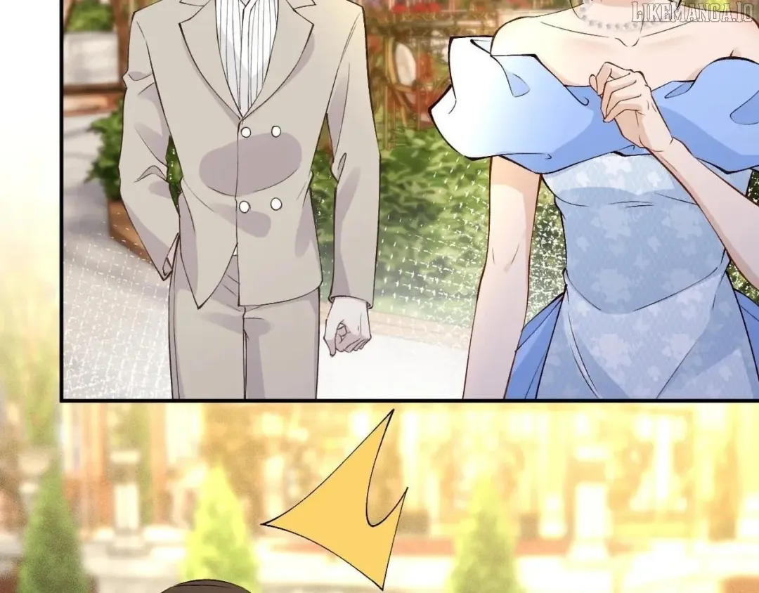 Everyone’s Darling - Chapter 334 Page 4