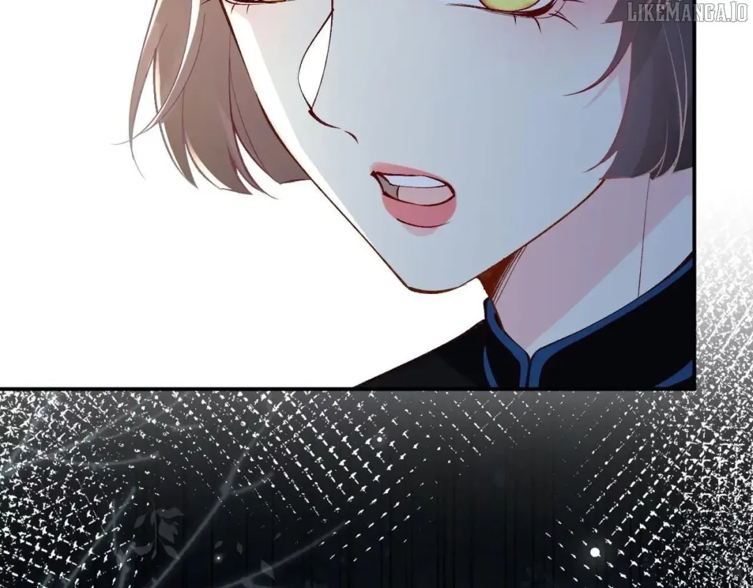 Everyone’s Darling - Chapter 335 Page 13