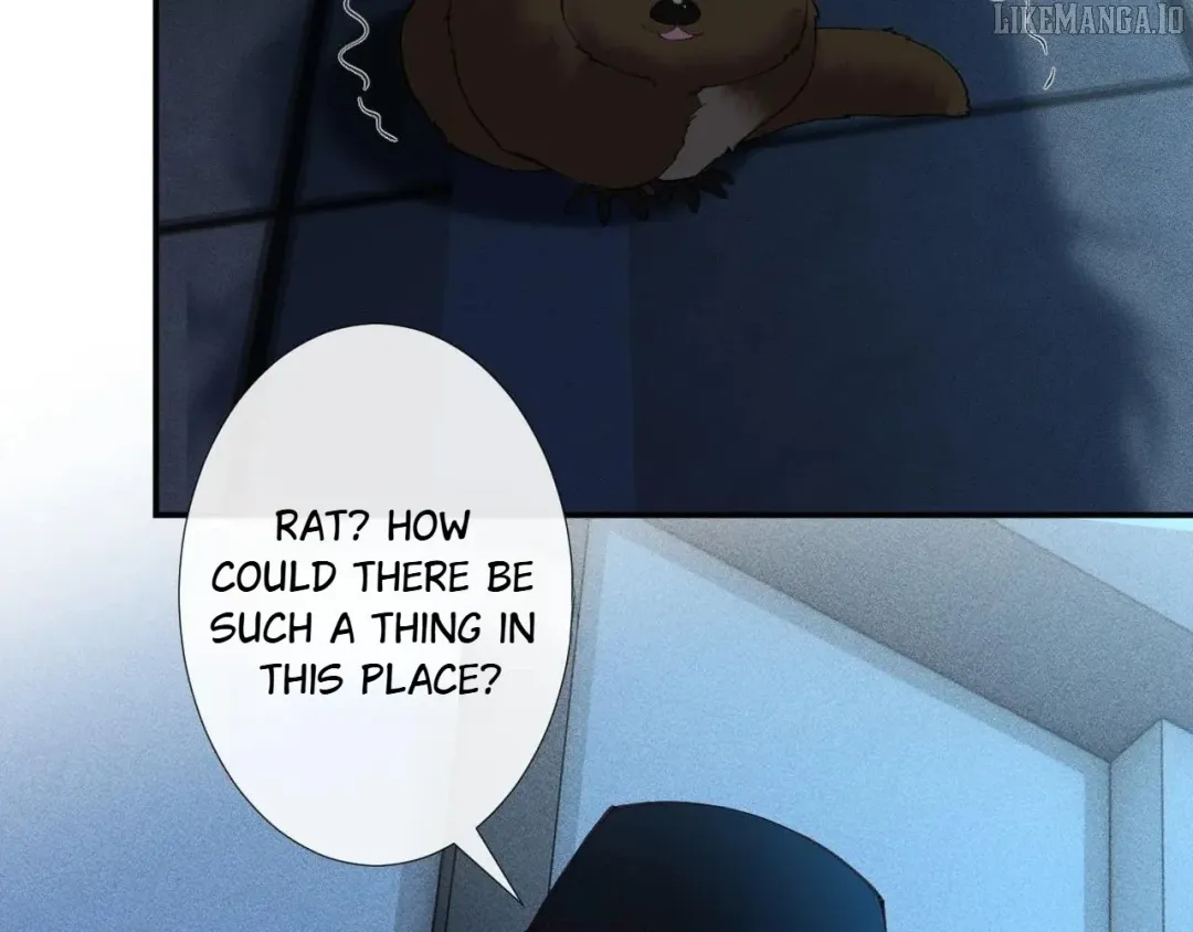Everyone’s Darling - Chapter 346 Page 24