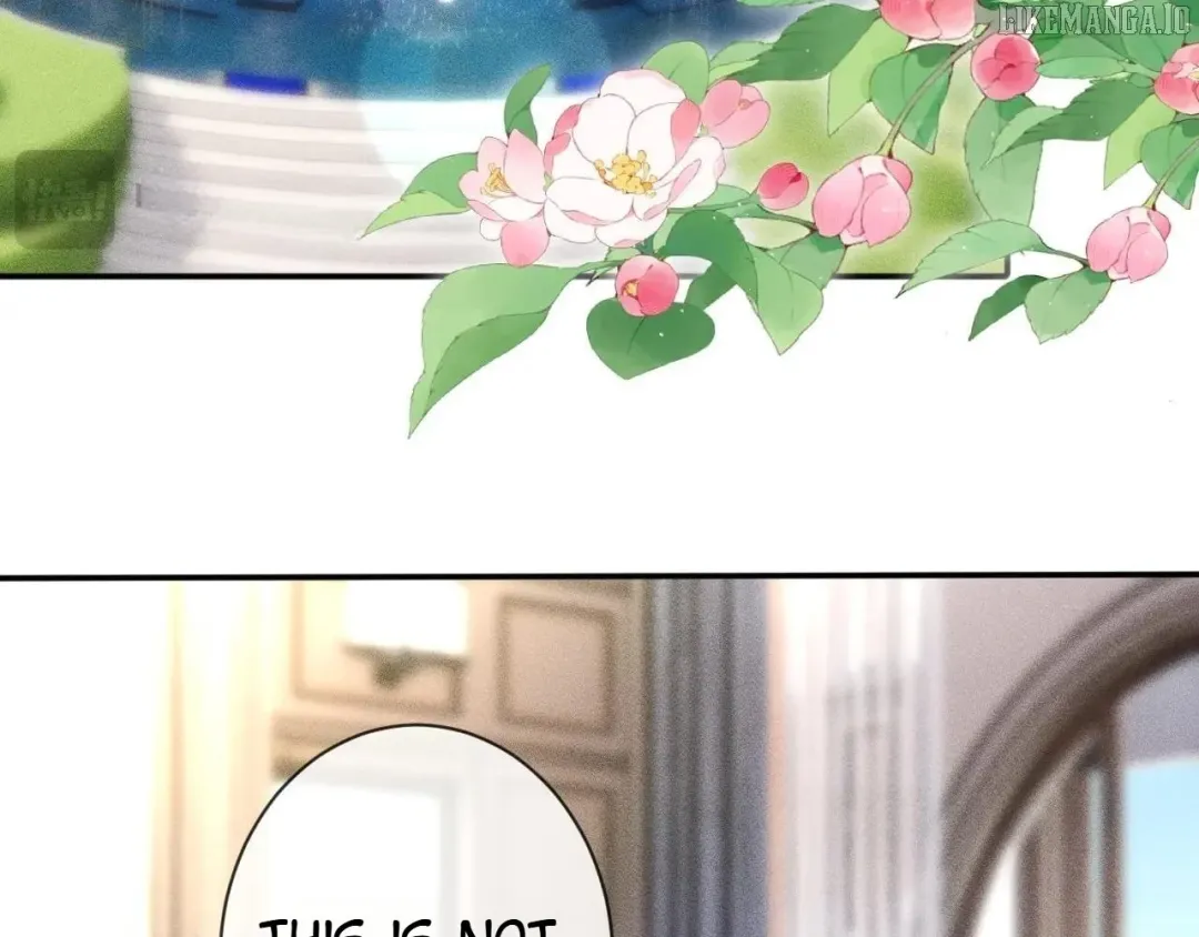 Everyone’s Darling - Chapter 361 Page 44