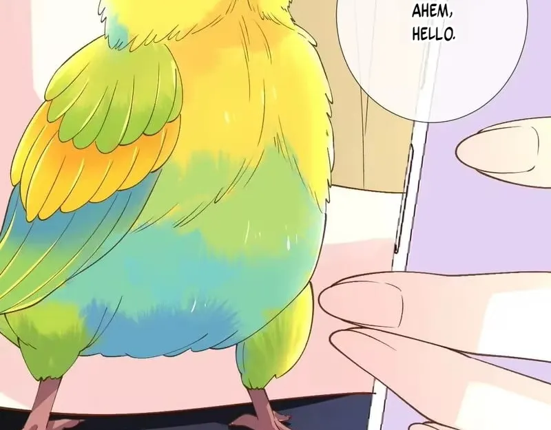 Everyone’s Darling - Chapter 416 Page 36