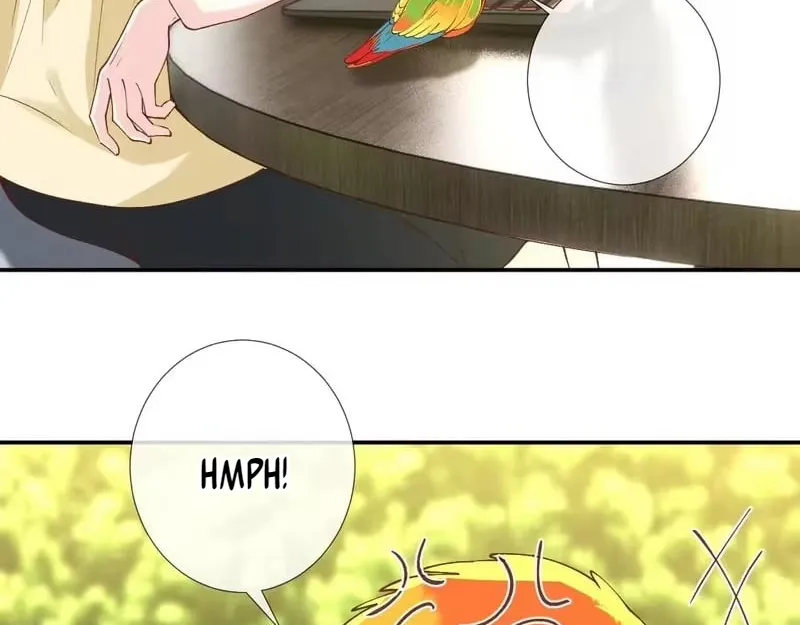 Everyone’s Darling - Chapter 416 Page 62